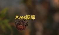 Aves图库